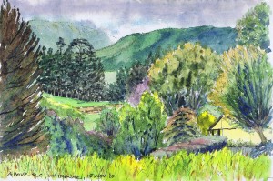 Worshipping God the Creator: Bill’s Story