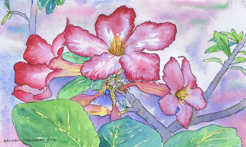 My new spiritual practice: Feeling the feelings