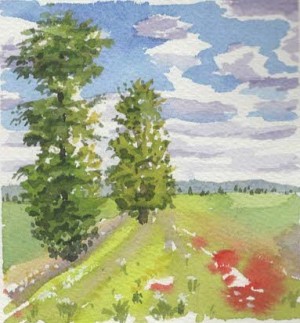 Contrasts: Thankfulness and optimism