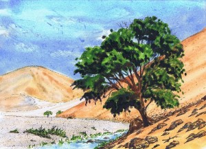 Creative prayer: trees