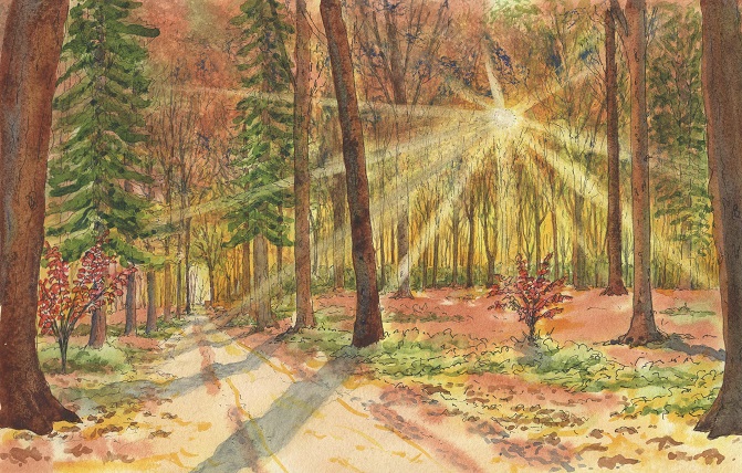 Spiritual diary of sheltering in place: Acceptance