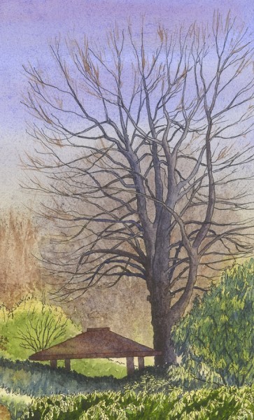 Lament after Thanksgiving