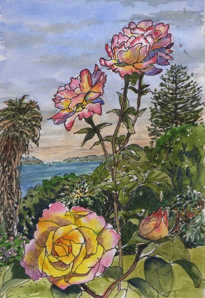 Advent and Christmas in the Southern Hemisphere: The Light
