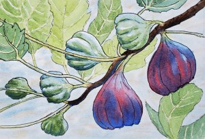 Praying about Jesus’s miracles: Jesus withers a fig tree