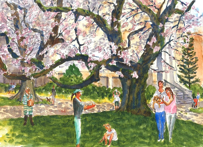 The Sabbath, the law, and love, parts 1 and 2