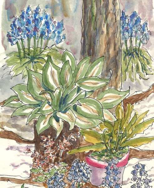 Finding life and freedom, parts 1 and 2